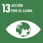 Adopción de modelos de negocio circulares: